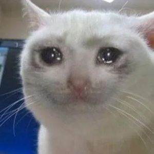 Meet your Posher, Jackson